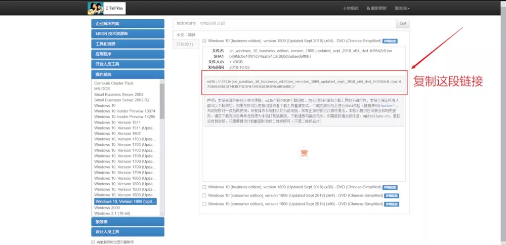 msdn官网迅雷Win10 ISO镜像资源下载