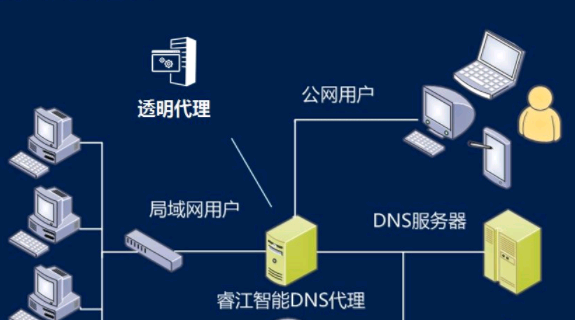 dns是什么意思通俗点(dns是什么协议)