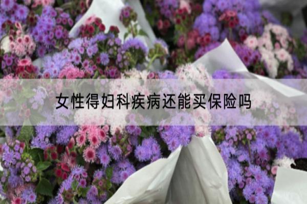 女性得妇科疾病还能买保险吗？推荐哪些产品？