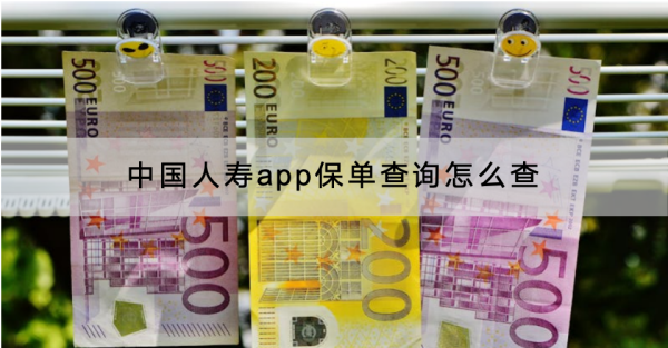 中国人寿app保单查询