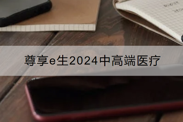 尊享e生2024中高端医疗